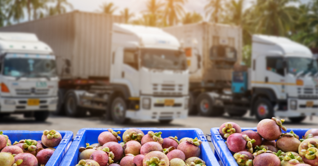 crates of fruit in front of large shipping trucks