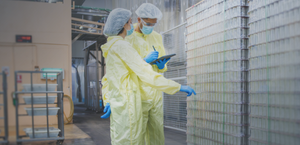 Evaluate Your Cold Storage WMS