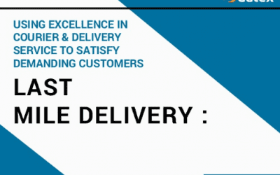 Last Mile Delivery: Using Excellence in Delivery & Courier Service to Satisfy Demanding Consumers