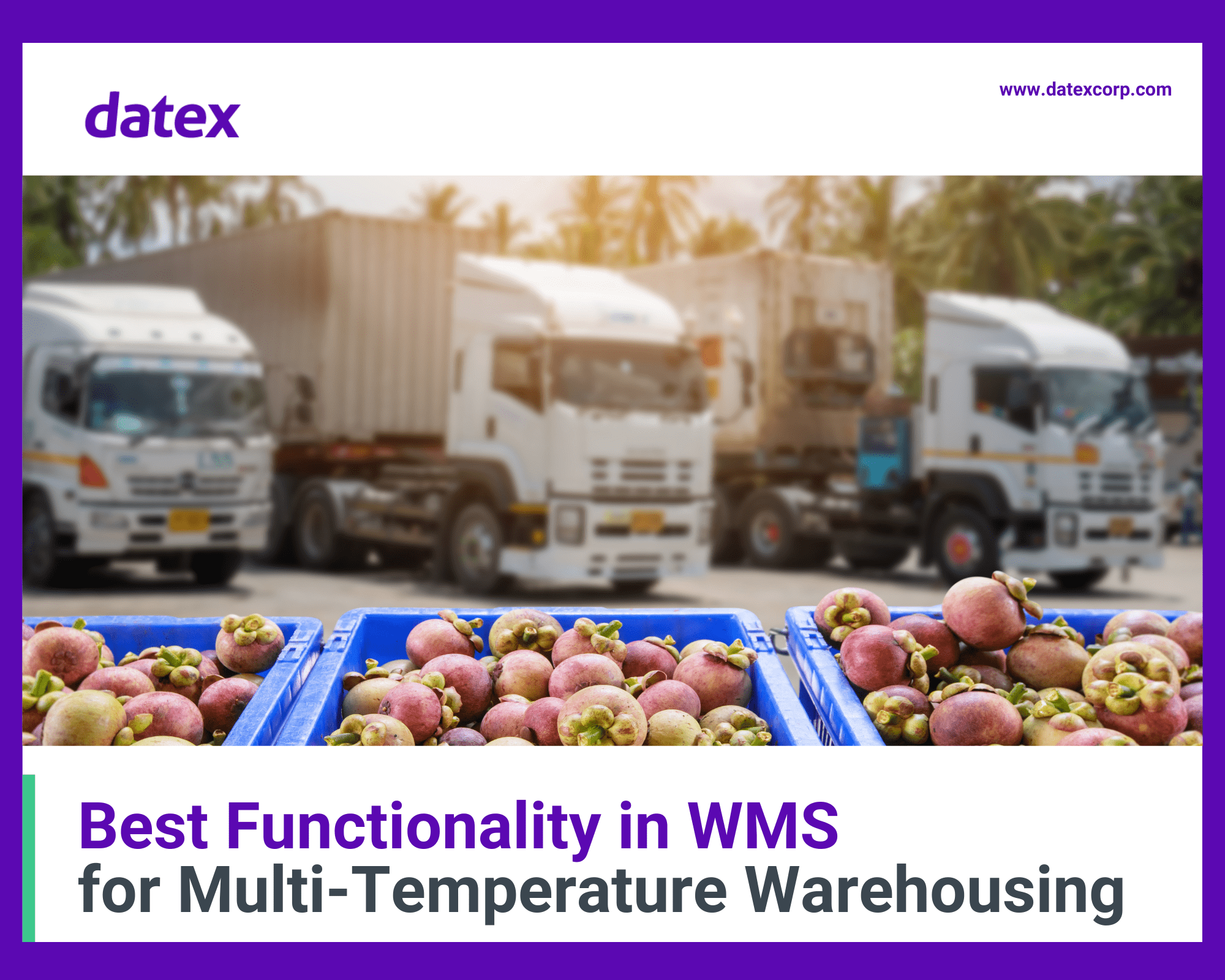 Copy of White paper Best Functionality in WMS for Multi-Temperature Warehousing (2025) Multi-temp warehousing white paper