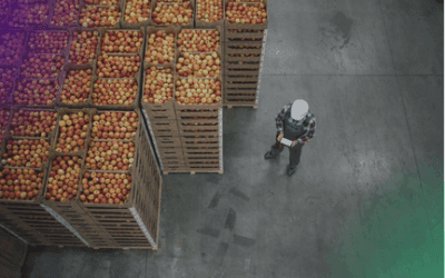 How to Prevent Damage to Perishables and Reduce Food Waste