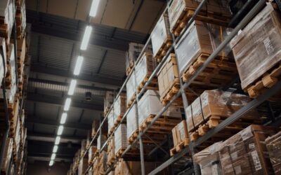 What Makes the Best WMS for Today’s Warehouses Navigating Complexity & Compliance