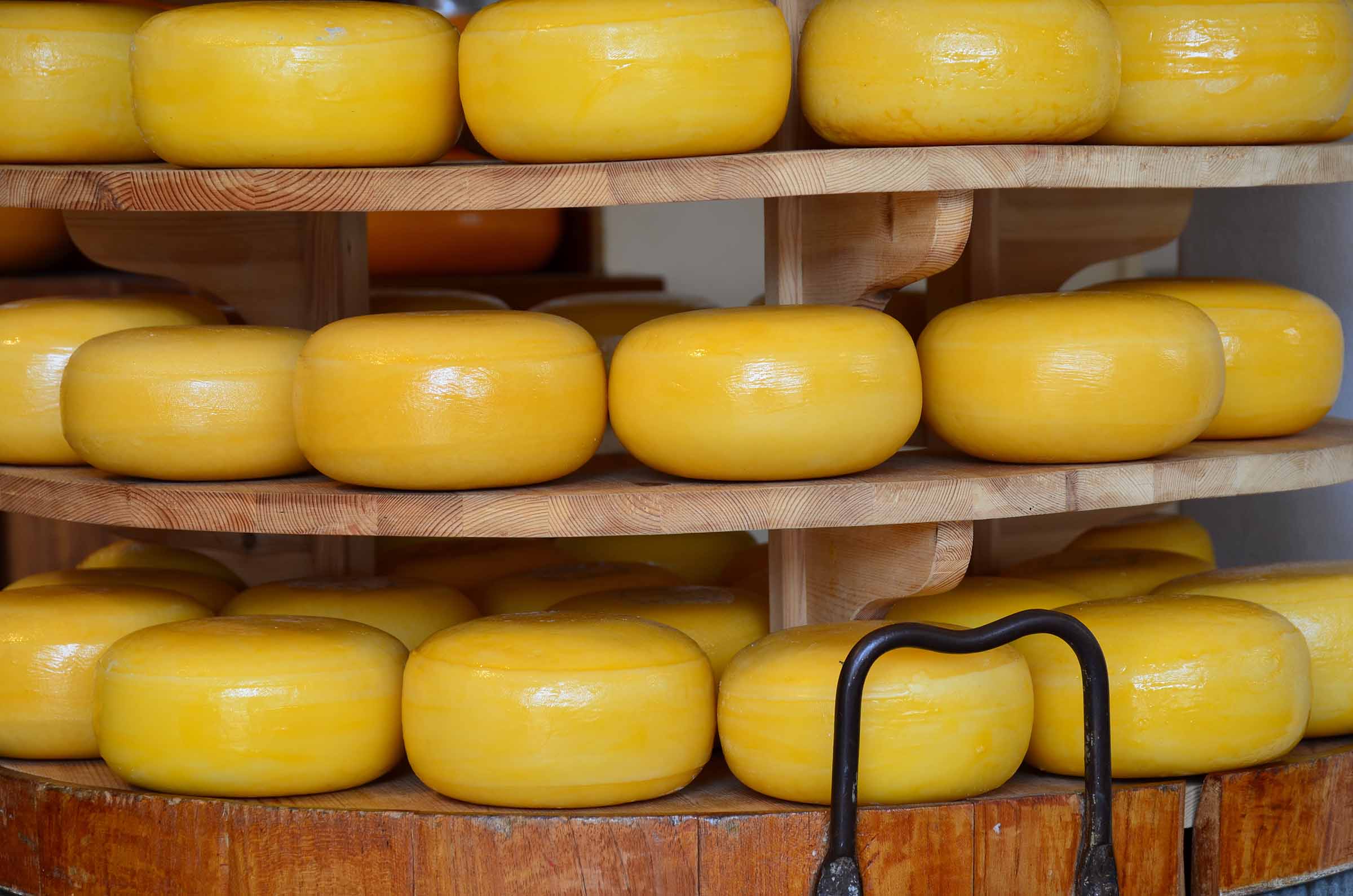 cold storage warehouse cheese cold storage warehouse cheese